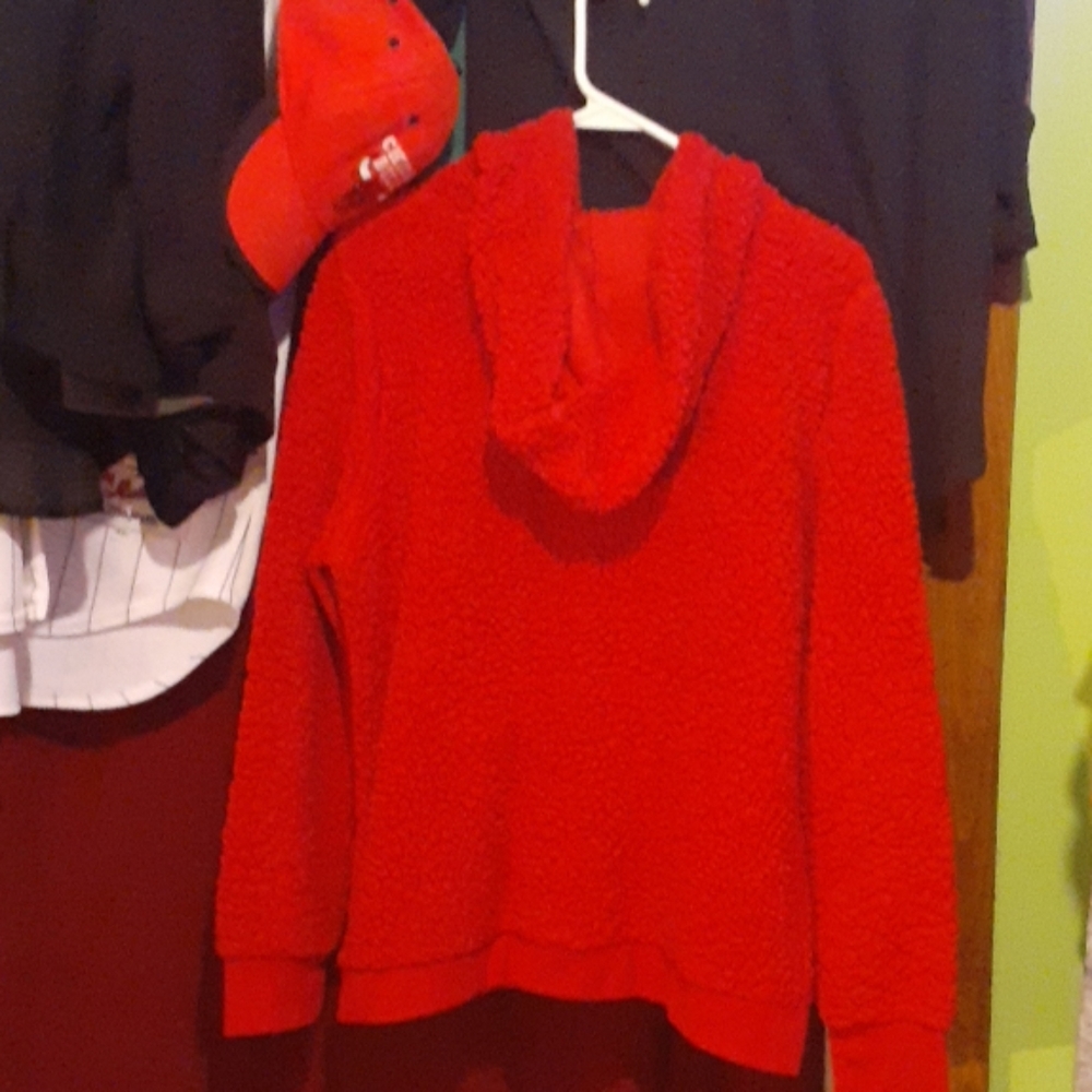 Hoodle - Picture 2 of 2
